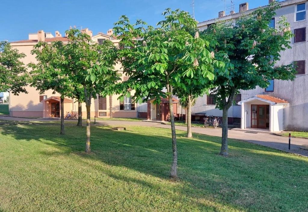 Stefan 1 Apartment Umag Exterior photo